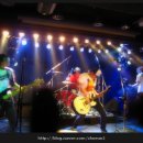 도그럭스 이미지