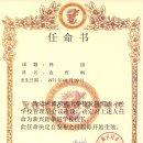 브레인박사태권도 이미지