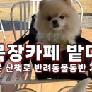 벨진밧별관