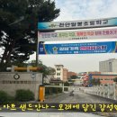 일봉유치원(병설) 이미지