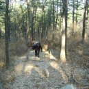 이목중학교 이미지