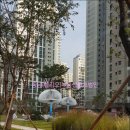 서울다안치과의원 이미지