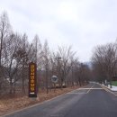 세종시 가볼만한곳 금강자연휴양림 수목원 다녀왔어요