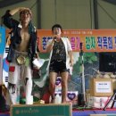 순정감자 이미지