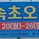 속초 오징어 축제 이미지