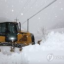 언별1리 이미지
