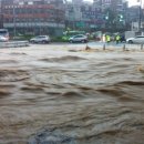 서울양재초등학교 이미지