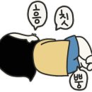 메이비제주 이미지