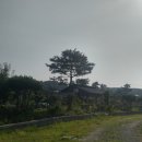 이수빈공인중개사사무소 네이버블로그