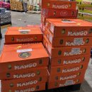 🥭아이브릭스 - 골드 망고,애플망고,추석과일선물세트🥭 이미지