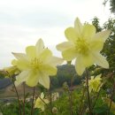 예현농장 이미지