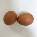 수 한의원 | 왕자한의원 한약다이어트 재방문 1주차 식단 후기