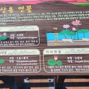 리틀그리너스