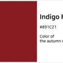 J-indie 커버밴드 Indigo Red에서 기타와 보컬을 모집중입니다 이미지