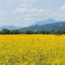 구미강정 이미지