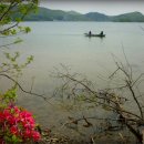 꽃피는언덕 이미지