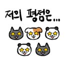 엠에스안과 이미지