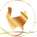 랙돌캐터리 아이돌스 전주고양이분양 이미지