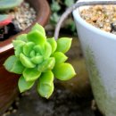 금강행정사사무소 이미지