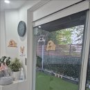 대구애견 | 대구 수성구 만촌동 애견미용 안아줄개 솔직후기