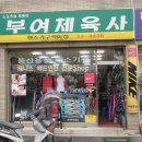 부여체육사