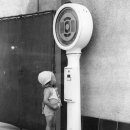 다이어트코리아 이미지