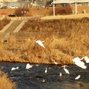 징검다리 도서관 이미지