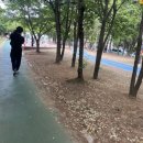 함송체육관 이미지