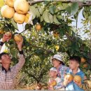 가족농장 이미지