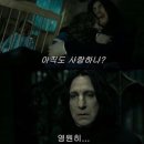 깊생
