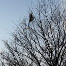 경주시티투어천마관광(주) | 뚜벅이 여행 코스 2탄| 첨성대·경주십원빵·스타벅스 경주대릉원점· 천마맷돌순두부황리단길점·동궁...