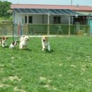 굿프랜드 이미지