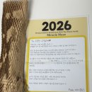라니코스메틱 | 모공크림) 미라클뮤즈 스티바A크림 2주 사용 후 솔직후기