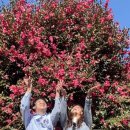 맛나식당 이미지