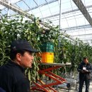 양남농장 이미지