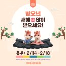 은성레이저