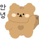 우림미트 이미지