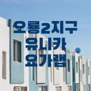 웰빙요가연구소