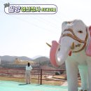 경남 밀양 영산정사 봄에 가볼 만한 사찰 세계 최대 와불, 절