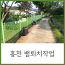 홍천초등학교 | 홍천 초등학교 뱀퇴치작업 후기, 물림 사고 예방해요