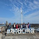 빵빵렌트카 | 제주도 기사님 포함 렌트카 추천 부부 동반 여행 후기