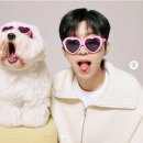 참외가 달다 ㅋㅋ 이미지