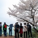 선사시대로 탐방 길(선사3코스) 이미지