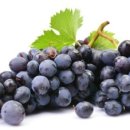 학장과일 이미지