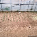 승훈농장 이미지