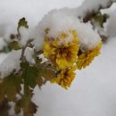 용교농장 이미지