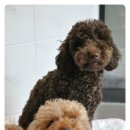 지누동물병원 이미지