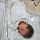 꽃보라개 | 꽃보라사진관 02. 뉴본촬영&amp;50일 촬영후기(이든포레 조리원 연계)