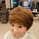 호박미용실 - 포항시 남구 | 호박미용실
