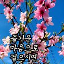 20260520(수) 비로 오후 걷기 생략 이미지